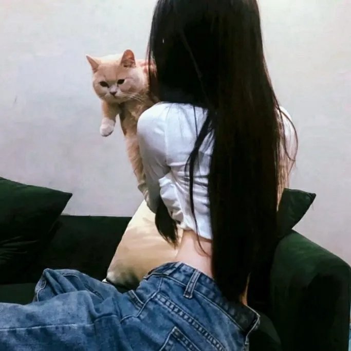 犯罪家谱
